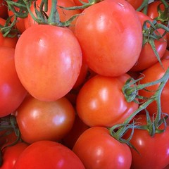 Getting some wonderful plum tomatoes at the moment.