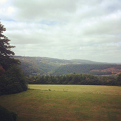 Just had wedding meeting. This will be the view from the dining room #Devon