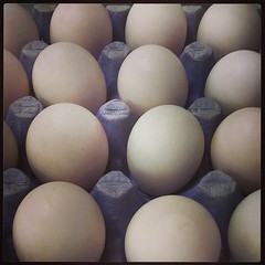 Duck eggs for #breakfast